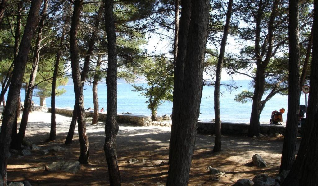 Grzalja-rozic Krk Town