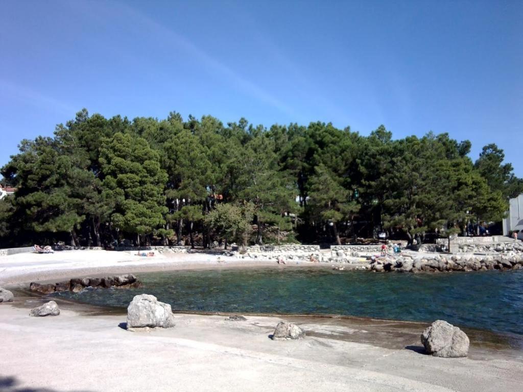 Grzalja-rozic *